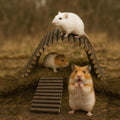 SIMENA Wooden Hamster Suspension Bridge Toy, Hamster Fencing, Natural Climbing Ladder for Dwarf Hamsters, Syrian Hamster