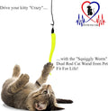 Pet Fit For Life Cat Wand Toy, 5-Piece Worm Teaser & Exerciser