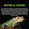 Fluker's Incandescent Reptile Lighting, Full Spectrum Daylight Bulb for Reptiles, Made with Neodymium, Provides Infrared