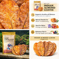 Premium Indian Almond Leaves. 40 Leaves 8-10 inchs. Catappa Leaves Rich in Tannin. Vacuum Packet. Awsome Aquarium Decora