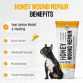 SILVER GRADE Dog Wound Care with Manuka Honey & Colloidal Silver for Scratches & Skin Irritations – Cat & Dog Hot Spot T