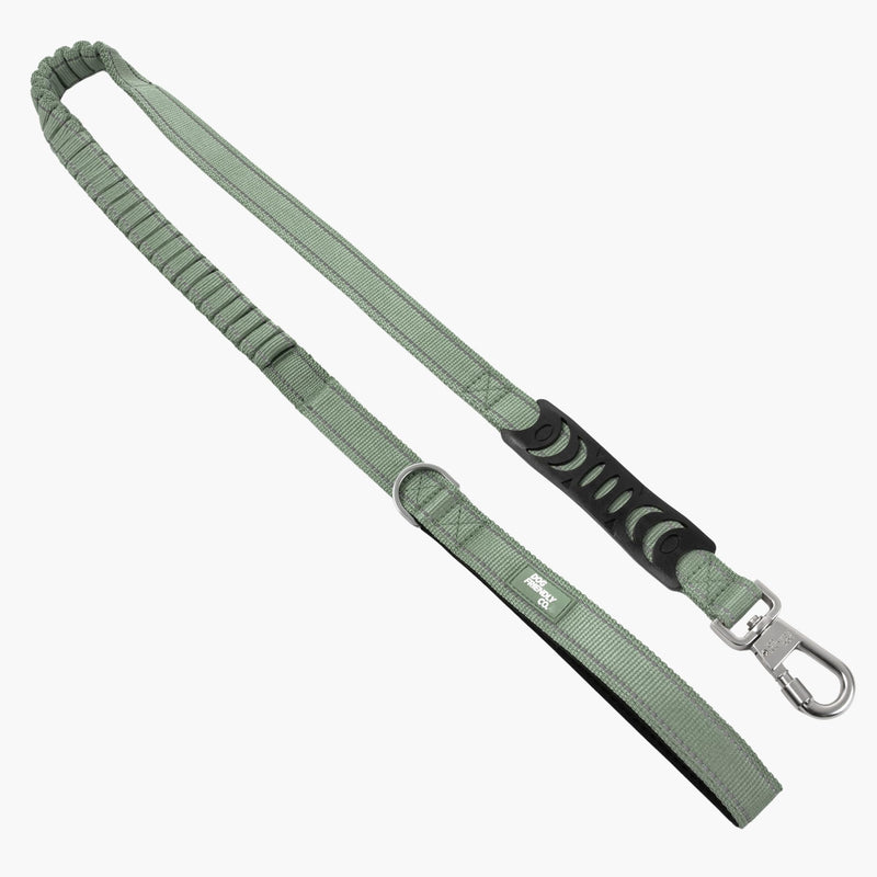 Dog Friendly Co. Bungee Dog Leash | Strain Free & Shock Resistant for Control | Neoprene Padded Handle, Heavy-Duty Carabiner Clip, and D-Ring | Khaki, Size Regular