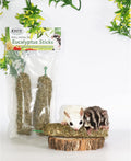Exotic Nutrition Eucalyptus Sticks - Healthy Vitamin-Fortified Crunchy Chew Treat - Natural Treat for Sugar Gliders - Ma