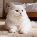 Cat Dog Sparkle Jewelry Pearl Collar Puppy Kitten Rhinestone Pendant Adjustable Charm Necklace for Small Pets Wedding Ph