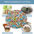 Colorful Clay Pebbles 2LBS for Plants (8-10mm) -No Soil Splash | Multi-Purpose Drainage Rocks for Potted Plants, Aquariu