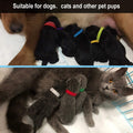 15 Pcs Puppy Whelping Collars Newborn Pet Collars Double-Sided Soft Adjustable ID Bands Puppy Id Collars for Newborn Pet Dog Cat 15 Colors