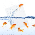 2 Pack Fish Tank Divider, Plastic Grid Cuttable Grid Plate Fish Separator with 12 Suction Cups DIY Designed Clear Easy t