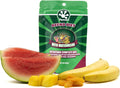 Pangea Gecko Diet with Watermelon 2 oz