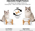 Elevated Ceramic Cat Bowl - Cat Food Bowl with Bamboo Stand - Raised Dog Dish for Puppies - Anti Vomiting, Stress Free - 13.5 oz / 400 ml - White