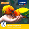 Sunseed Vita Prima Conure Food – Nutrient-Rich Blend with Fruits, Vegetables & Seeds Supports Healthy Feathers, Eyes & Active Energy – 3 lb Bag