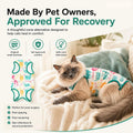 Cat Recovery Suit Surgical Onesie - Post Surgery - Soft Breathable Fabric - No-Cord Design - Protects Wounds and Skin Af