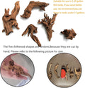 Tfwadmx 5PCS Aquarium Driftwood Branches 4''-7.8'' Reptiles Trunk Natural Wood Fish Tank Decoration Plant Stump Ornament
