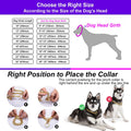 txprodogchains 18K Gold Chain Dog Collar 10MM Cuban Link Chain Stainless Steel Metal Links Walking Training Collar for S