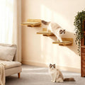 3Pcs 10"×8" Cat Wall Steps - Cat Stairs for Wall, Ladder Natural Wood with Fixtures,Turn Around or Climbing or Playing f