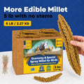 5lbs Economy & Special Spray Millet for Birds – GMO-Free, No Stems (Only Edible Tops) – 100% Natural Sun-Dried Foraging Treat for Cockatiels, Lovebirds, Parakeets, Finches & Canaries