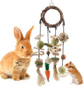 Bissap Bunny Chew Toy, Rabbits Cage Hanging Chew Toys and Treats Grapevine Wreaths Rattan Ring with Snacks for Guinea Pi