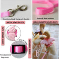 QBLEEV Pet Cole Duck Outside Walking Harness Leash with Cute Wings