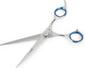 Laazar Pro Pet Grooming Scissors, Premium Steel Dog Grooming Shears with Blue Handles, Long-Lasting Sharp Blades