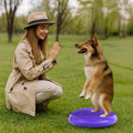 Dog Balance Disc 14", Dog Balance Equipment with Cushion and Pump, Pet Training Platform for Pet Rehabilitation Training