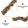 DECHOUS Reptile Branches Wood Log, Lizard Natural Climbing Branch for Terrarium Habitat, Bearded Dragon Tank Accessories