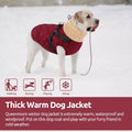 Queenmore Dog Jackets for Medium Dogs, Dog Coat with Harness Built in