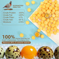 Globalpaw Premium Freeze-Dried Quail Egg Yolks - All-Natural Snack for Cats and Dogs, 100% Pure Quails Yolk Ingredients Pet Treats, Supports Growth with Protein & Iron, Crispy (Quail Egg Yolks 1pcs)