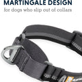 Ruffwear, Web Reaction Martingale Dog Collar