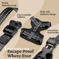 rabbitgoo Cat Harness and Leash, Easy-on with Neck Buckle