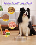 Oiwliur Slow Feeder Dog Bowls – Stainless Steel Non-Slip Metal Bowl for Slow Feeding, 5 Cups Large Capacity, Double-Sided Design for Dry, Wet, or Raw Food, Ideal for Small, Medium, Large Dogs