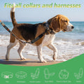 Dog Collar Safety Clip - Double-Ended Backup Safety Strap (Black)