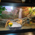 Reptile Corner Food Bowl Water Dish,Snake Feed Dish with Artificial Plant Reptile Water Bowl Terrariums for Bearded Drag