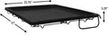 MidWest Homes for Pets 142SHELF Ferret Nation Shelf, 22.75" x 17" x 3.25"