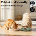GENLGE 8 Pack Cat Bowls, Cat Food Bowl, 5.9 x 1 Inch Whisker Friendly Shallow Wide Cat Dishes, Pet Food and Water Bowl for Indoor & Outdoor Cats