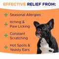 Dog Allergy Relief Chews - Anti-Itch Skin & Coat Supplement with Omega 3