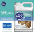 Cat's Pride Lightweight Clumping Litter: Flushable - Powerful Odor Control - Scented, 10 Pounds