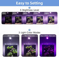 hygger 0.5-5 Gallon Nano Tank Mini Clip-on Aquarium Light with White Blue Red LEDs Fish Tank Lighting Built-in Timer 5 B