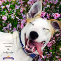 Kingdom Pets Duck Jerky & Sweet Potato Dog Treats with Only 4 Ingredients and No Fillers, 3 Pound Bag