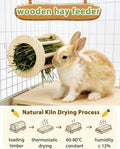 2 in 1 360° Fun Rotating Rabbit Hay Feeder No Waste for Cage