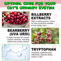 Cat Urinary Tract Infection Treatment, Cat UTI Treatment Drops Supports Bladder, Kidney Stone, Cranberry Kidney Bladder 