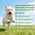 Probiotics for Puppies - 5 Billion CFU Digestive Health Supplement with 9 Strains & Prebiotics - Eases Tummy Upset, Gas 