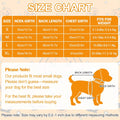 Halloween Dog Hoodie for Small Dogs Halloween Pumpkin Sweatshirt Dog Hoodie with Pockets Winter Halloween Ghost Hoodies 