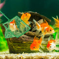 4 Pack Aquarium Fish Net Fine Quick Catch Mesh Nylon Fishing Catch Nets with Plastic Handle for Fish Tank Mesh Nets Scoo