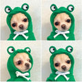 Warm Fleece Lined Dog Hoodie Winter Cute Coat Frog Costume