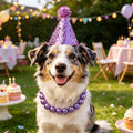 Ornaland Pearl Dog Necklace Collar for Women with Birthday Hat, 16.14 in