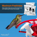 Hummer's Galore Hummingbird Food, Ready-to-Mix Hummingbird Nectar, All-Natural Nectar Collector Formula, No Preservative