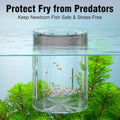 Floating Acrylic Breeder Box for Fish Tank - Aquarium Isolation Separator Hatchery Incubator for Guppy, Betta, Clownfish