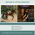 Dr. Milt's Horse Liniment with Epsom Salt & Arnica Fast-Absorbing Cooling Gel for Horses Daily Muscle & Joint Care Non-G