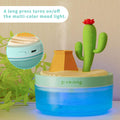 Reptile Fogger, 320ML USB Plastic Cartoon Cactus Humidifier with Lampion, Mister for Reptile Tank, Terrarium Accessories