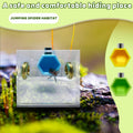 Jumping Spider Hide Enclosure Accessories Habitat Hexagon Shelf Magnetically Concealed Jumping Spider Enclosure Climbing