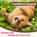 Puddonio Catnip Cat Treats, Chicken & Salmon Flavor Crunchy Cat Biscuits, Fish-Shaped Training Snacks for Adult Cats, 16 oz